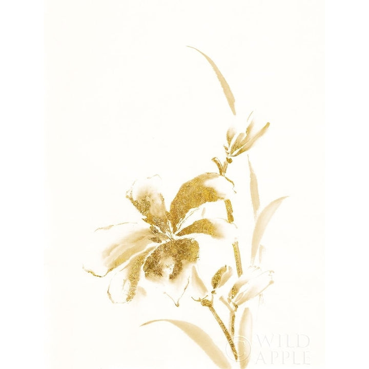 Sumi Daylily Iv Gold Poster Print by Chris Paschke-VARPDX25249 Image 2