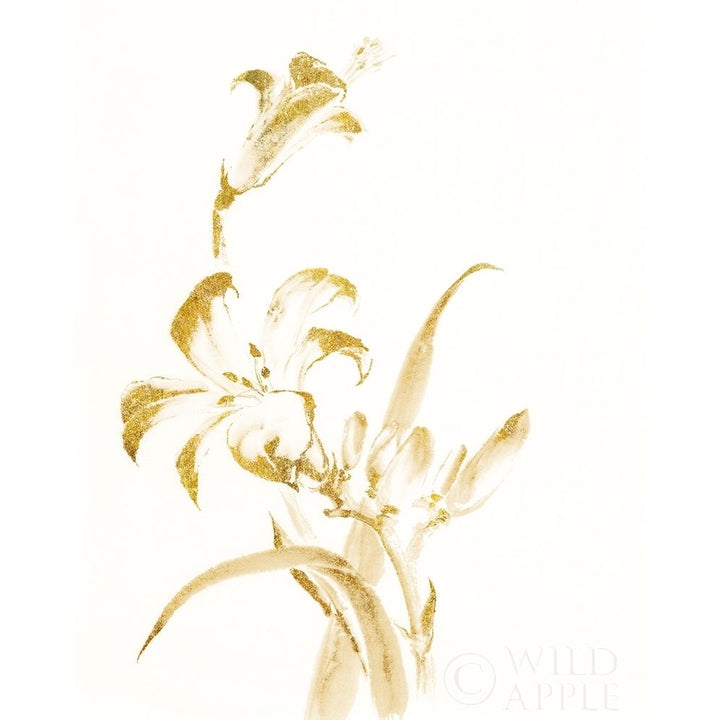 Sumi Daylily Ii Gold Poster Print by Chris Paschke-VARPDX25248 Image 2