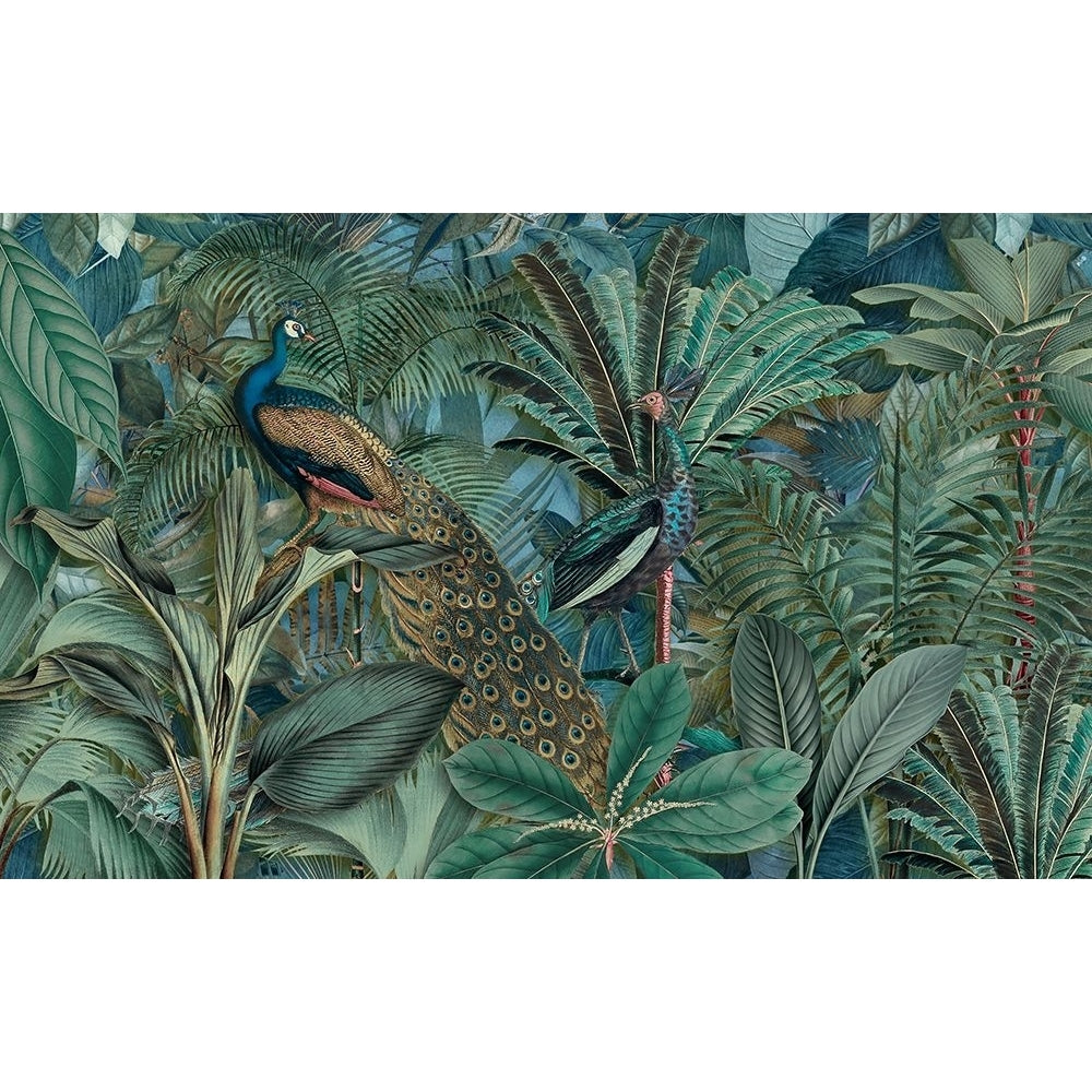 Jungle Birds Garden No2 Poster Print - Andrea Haase-VARPDX2527869 Image 1