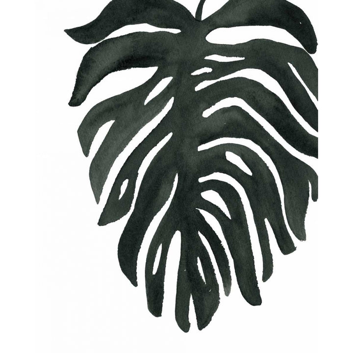 Tropical Palm II BW Poster Print by Wild Apple Portfolio-VARPDX25315 Image 2