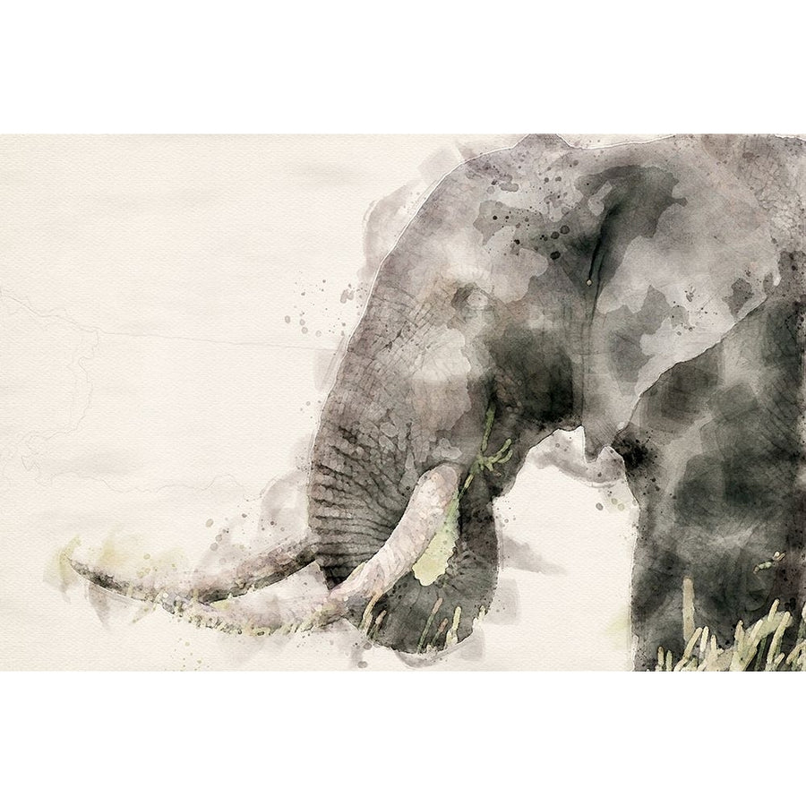 Abstract African Elephant Watercolor Art Poster Print - Toit Arno Du-VARPDX2538047 Image 1