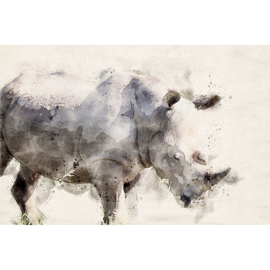 Abstract African Rhinoceros Watercolor Art Poster Print - Toit Arno Du-VARPDX2538046 Image 1