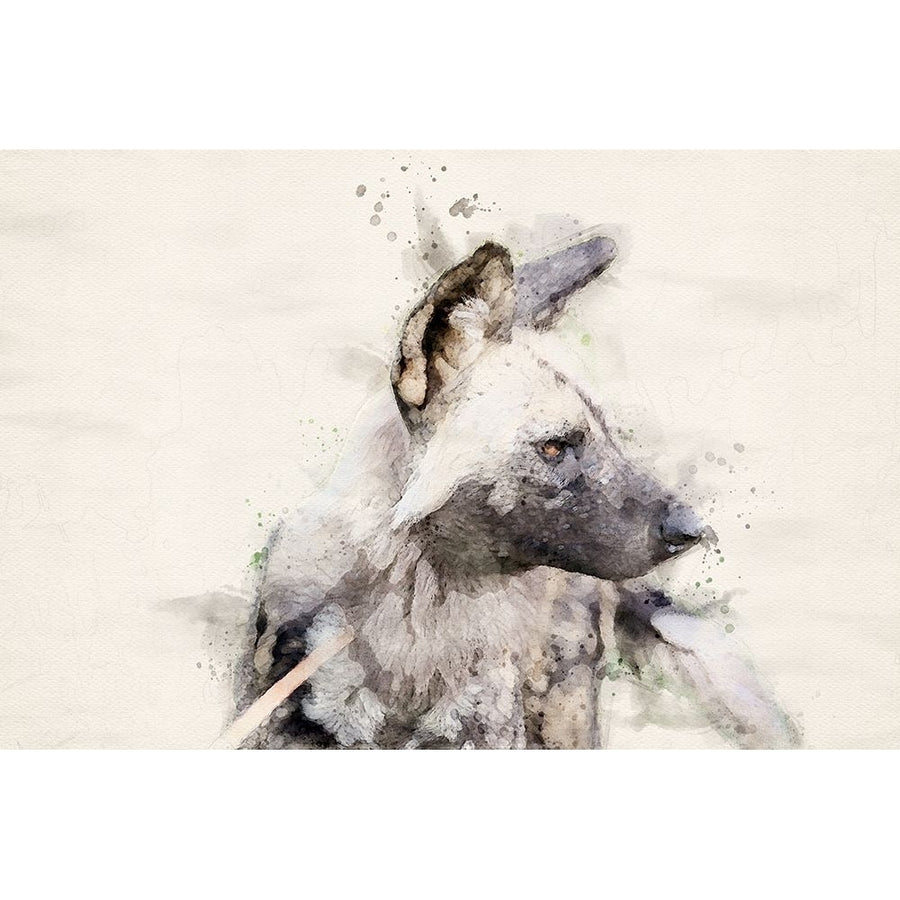 Abstract African Wild Dog Watercolor Art Poster Print - Toit Arno Du-VARPDX2539513 Image 1