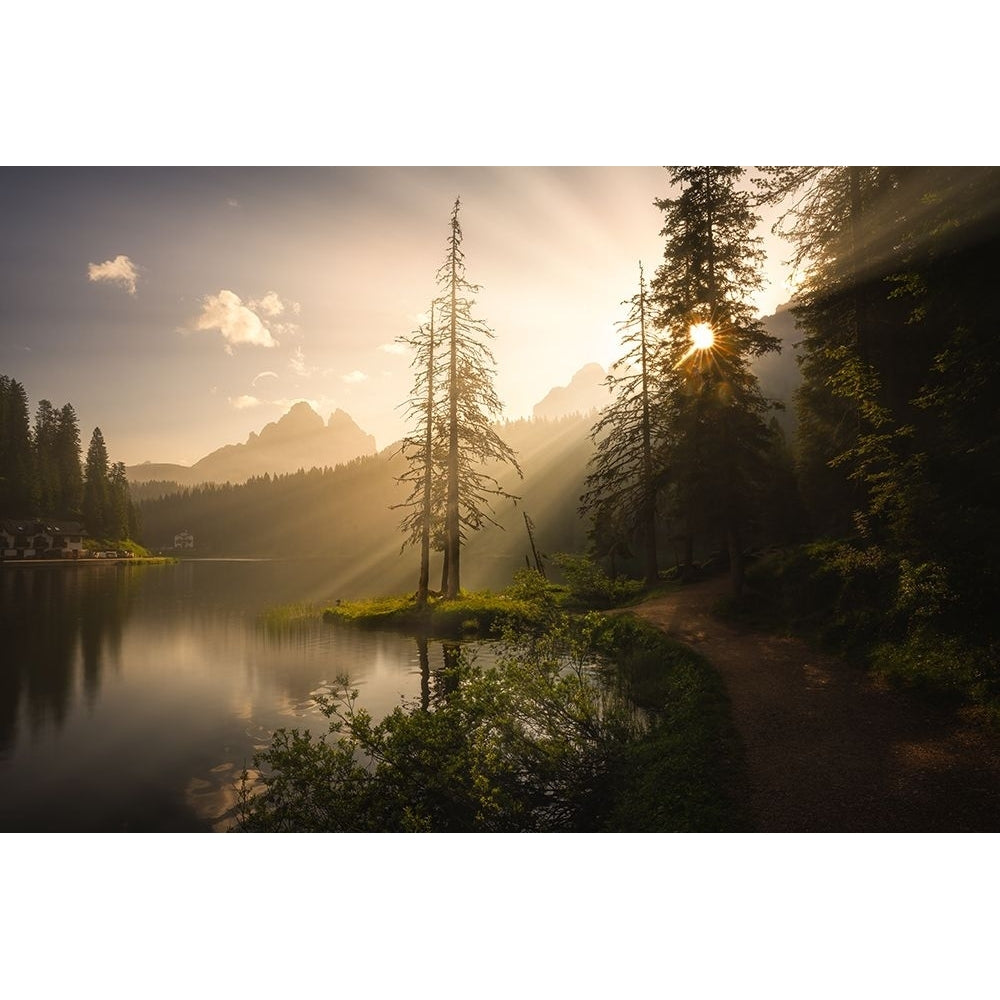 Morning Light Poster Print - Yongnan Li-VARPDX2553233 Image 1