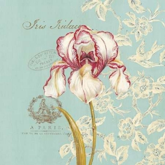 Toile Iris Poster Print by Stefania Ferri-VARPDX255FER1136 Image 1