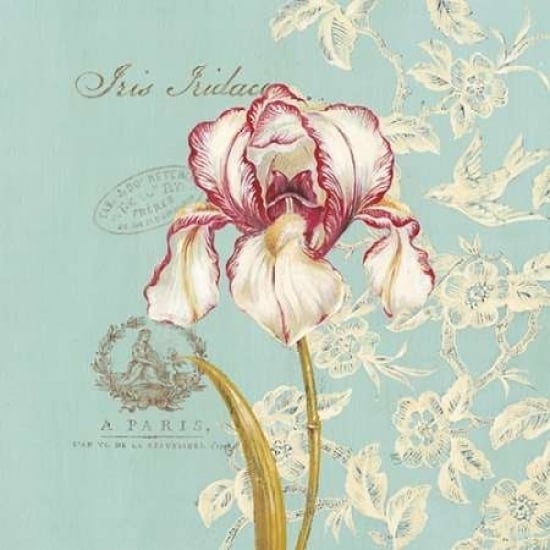 Toile Iris Poster Print by Stefania Ferri-VARPDX255FER1136 Image 2