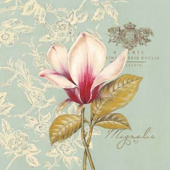 Toile Magnolia Poster Print by Stefania Ferri-VARPDX255FER1137 Image 2