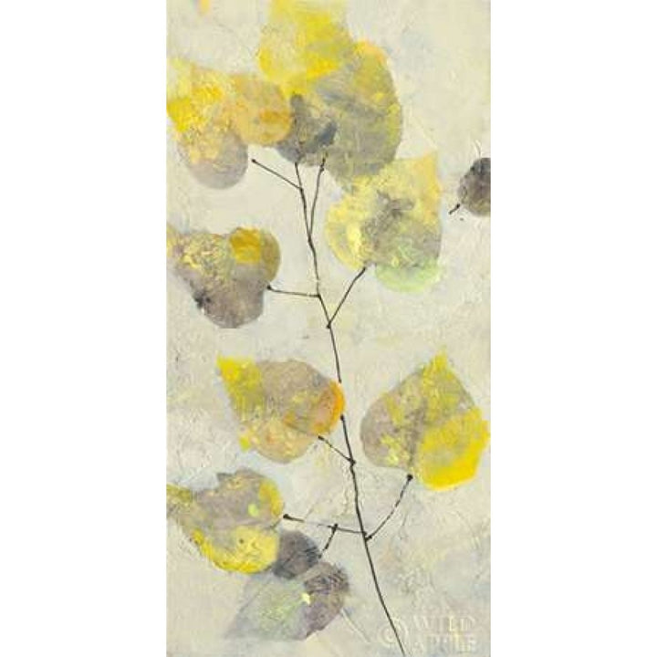 Aspen Branch II Poster Print by Albena Hristova-VARPDX25539 Image 1