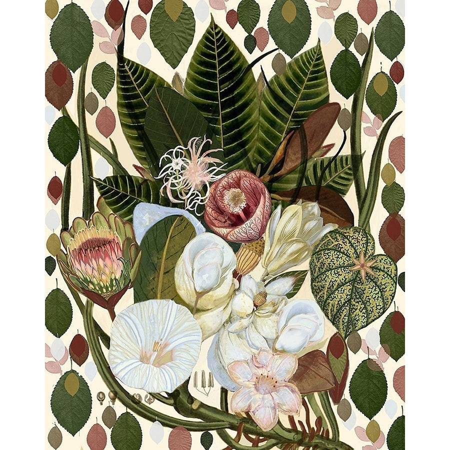 Earthy Blooms.png Poster Print - Giovanna Nicolo-VARPDX2556045 Image 1