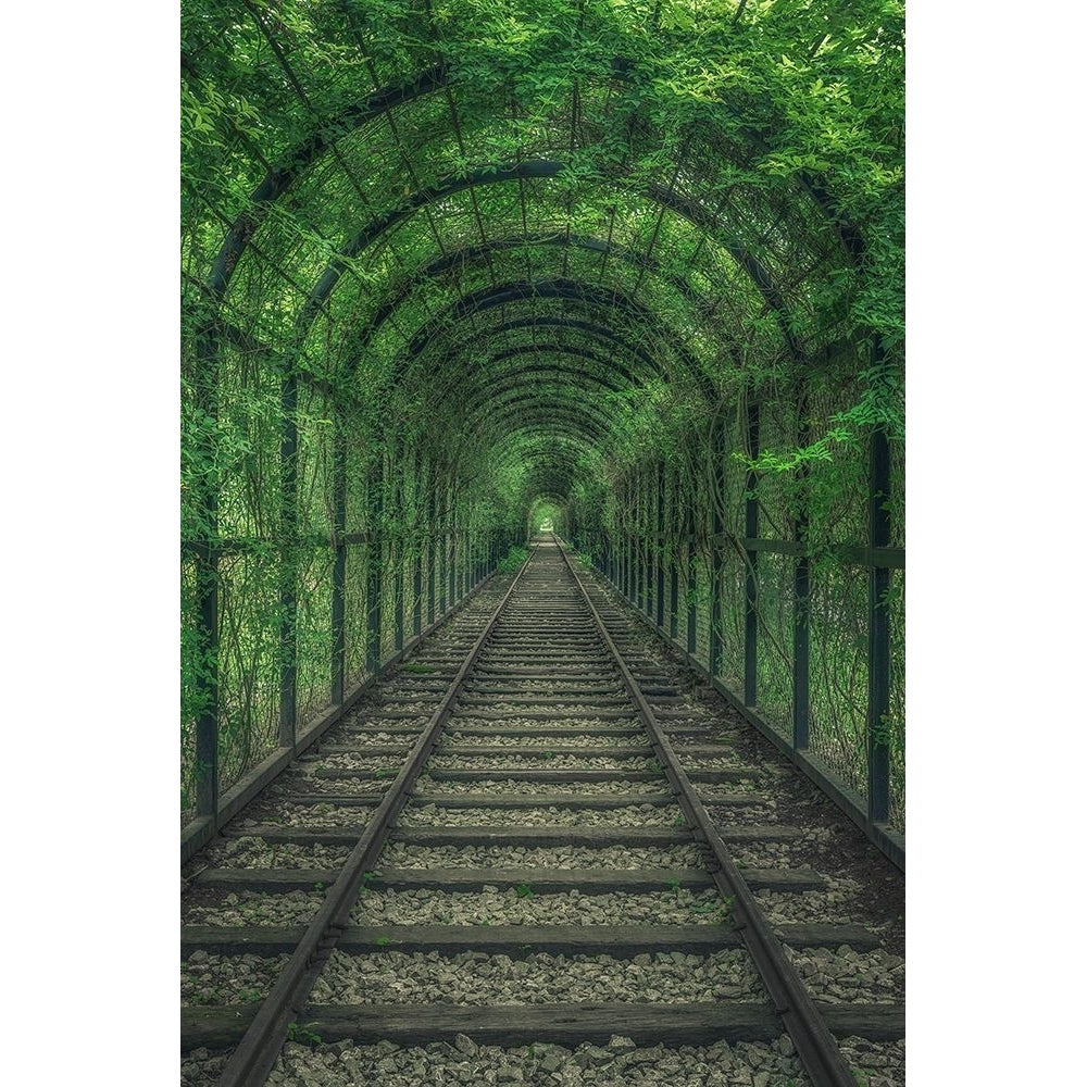 Green Tunnel Poster Print - Mei Xu-VARPDX2584539 Image 1