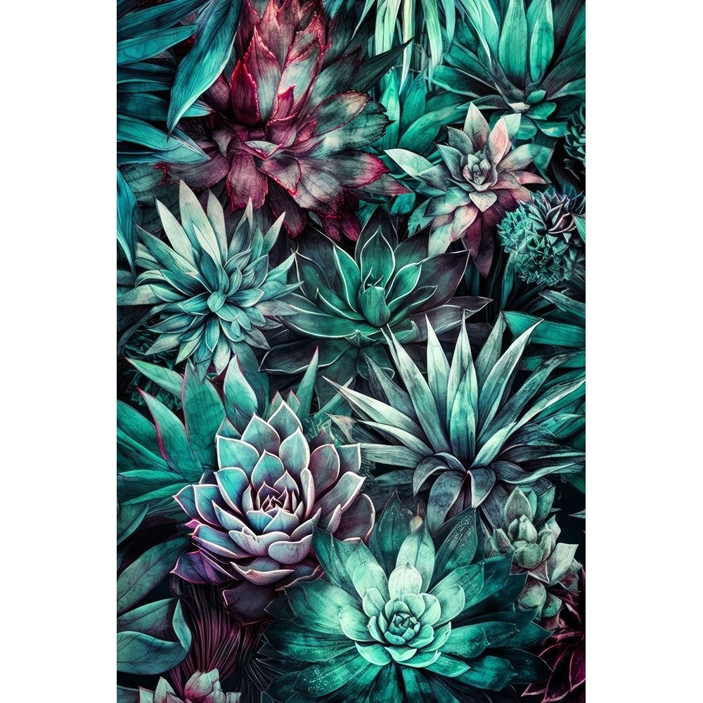 Succulents And Cactus 4 Poster Print - Justyna Jaszke-VARPDX2589420 Image 1