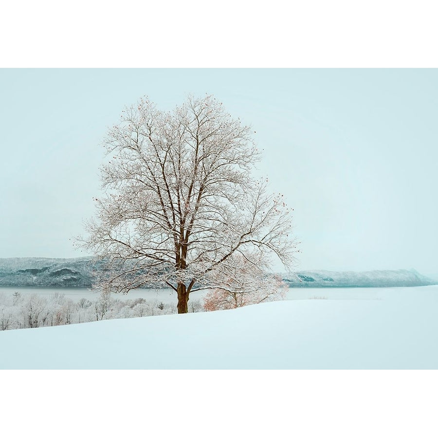 Winters Solitude Poster Print - Wei Dai-VARPDX2590076 Image 1