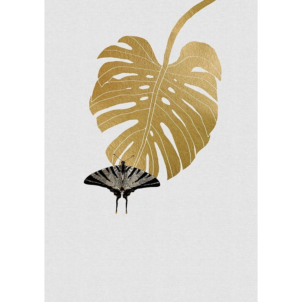 Butterfly A Monstera Leaf Poster Print - Studio Orara-VARPDX2594559 Image 1