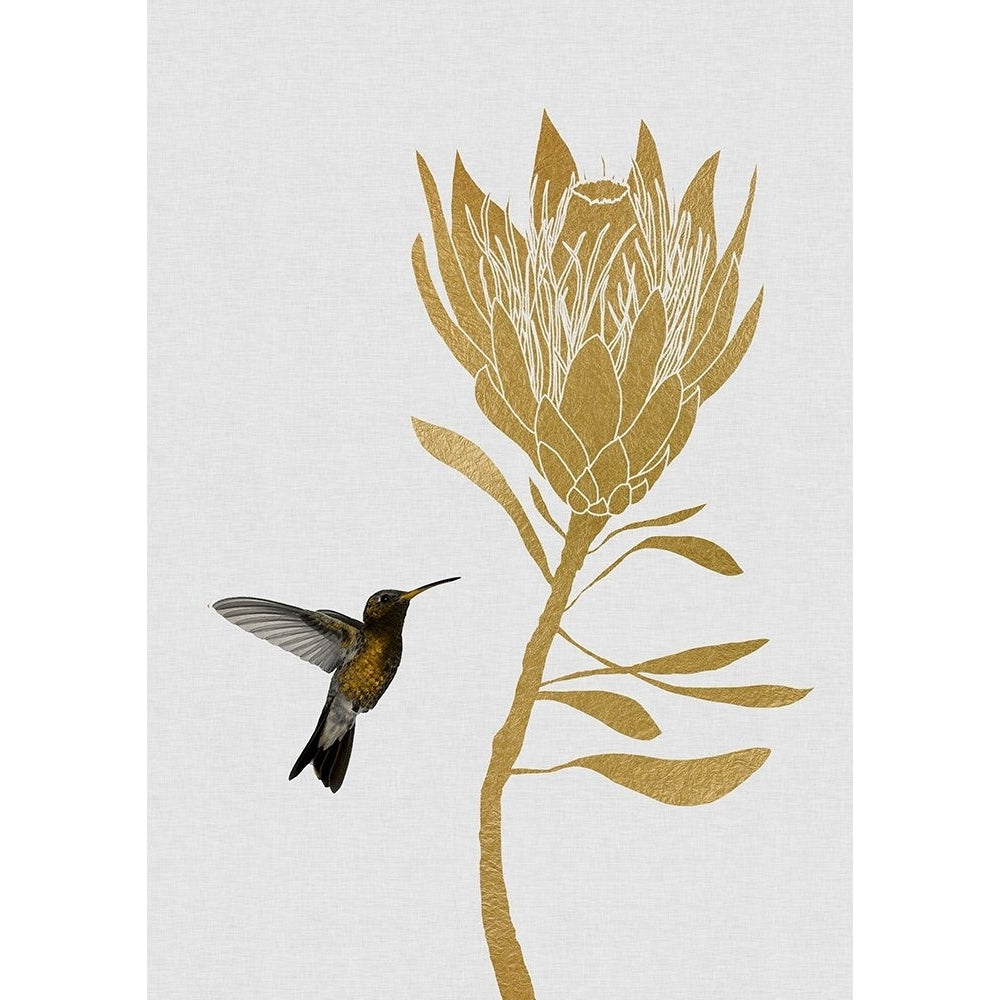 Hummingbird A Flower I Poster Print - Studio Orara-VARPDX2594562 Image 1