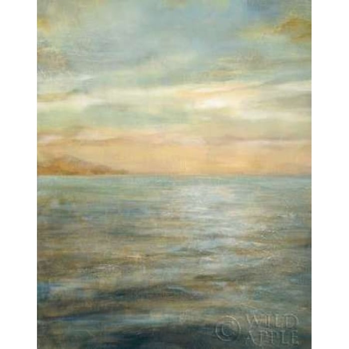 Serene Sea II Poster Print by Danhui Nai-VARPDX2597 Image 2