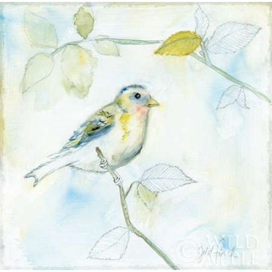 Sketched Songbird I Poster Print by Sue Schlabach-VARPDX25973 Image 1