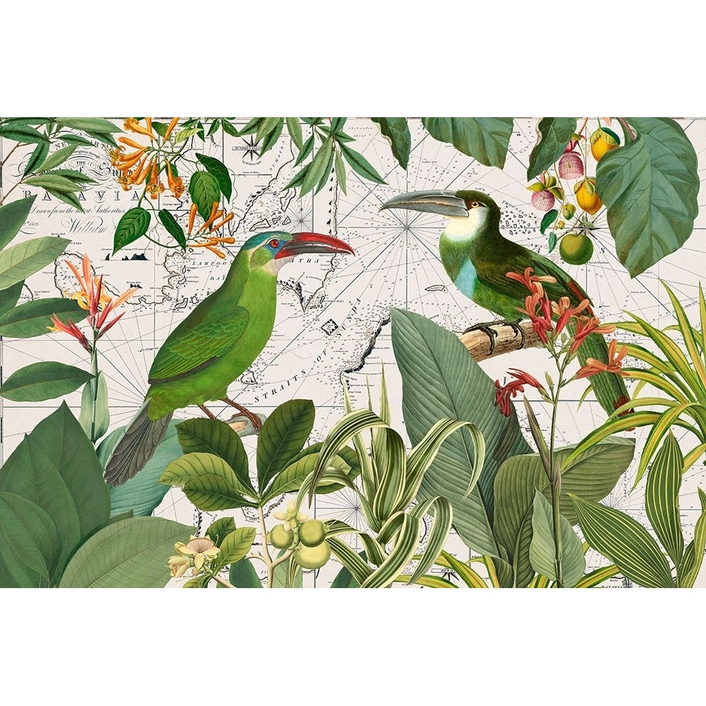 Parrots Nostalgic Journey 3 Poster Print - Andrea Haase-VARPDX2608547 Image 1