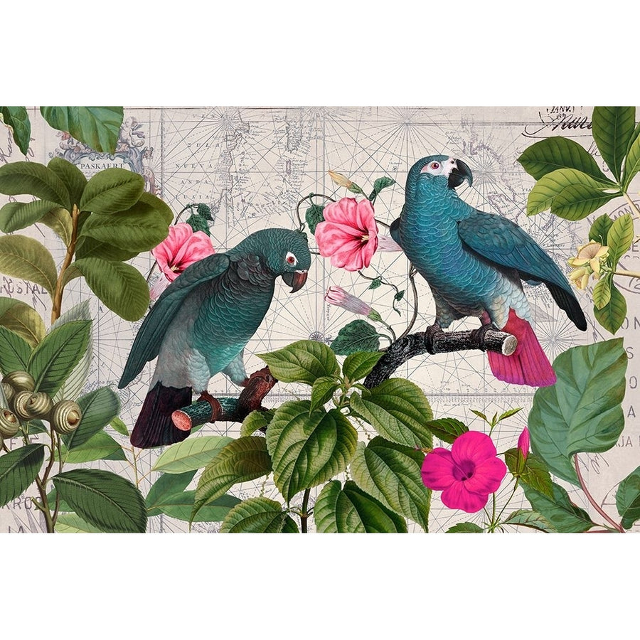 Parrots Nostalgic Journey Kopie Poster Print - Andrea Haase-VARPDX2608548 Image 1