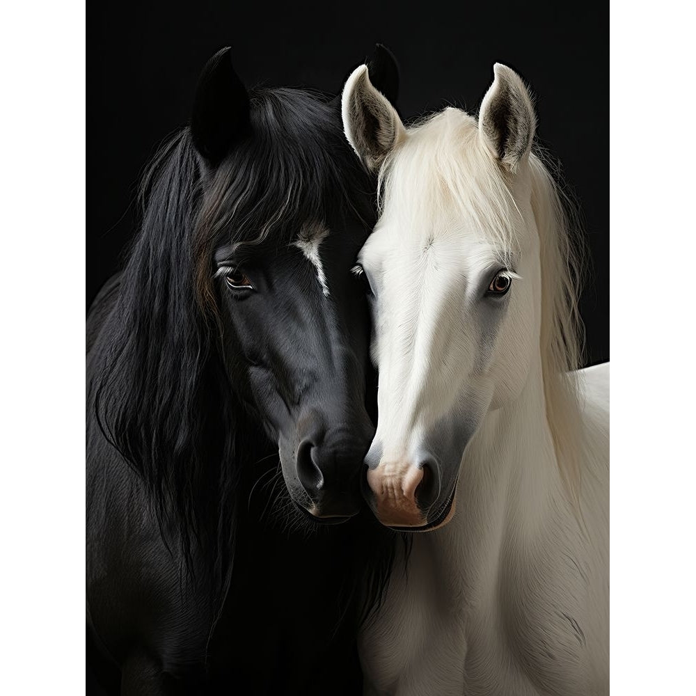 Bw Horses 2 Poster Print - Bilge Paksoylu-VARPDX2609475 Image 1