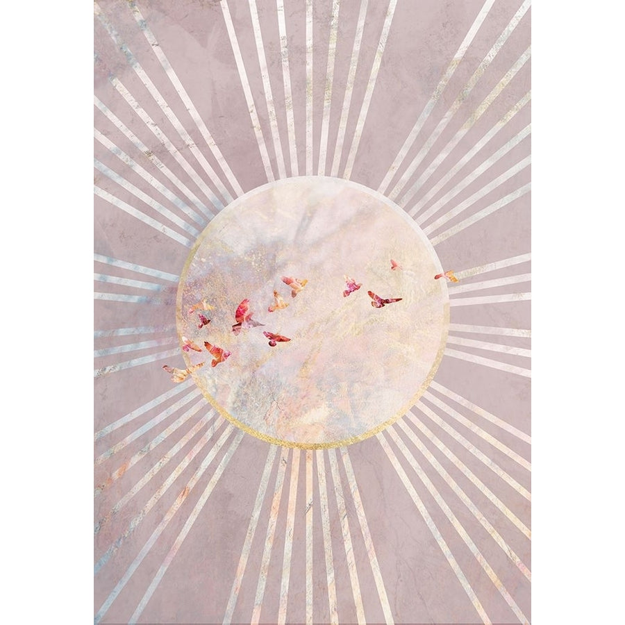 Sun Birds Pink Poster Print - Sarah Manovski-VARPDX2620278 Image 1