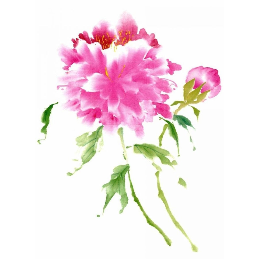 Peonies in Pink I Poster Print - Nan Rae Parker-VARPDX26341D Image 1