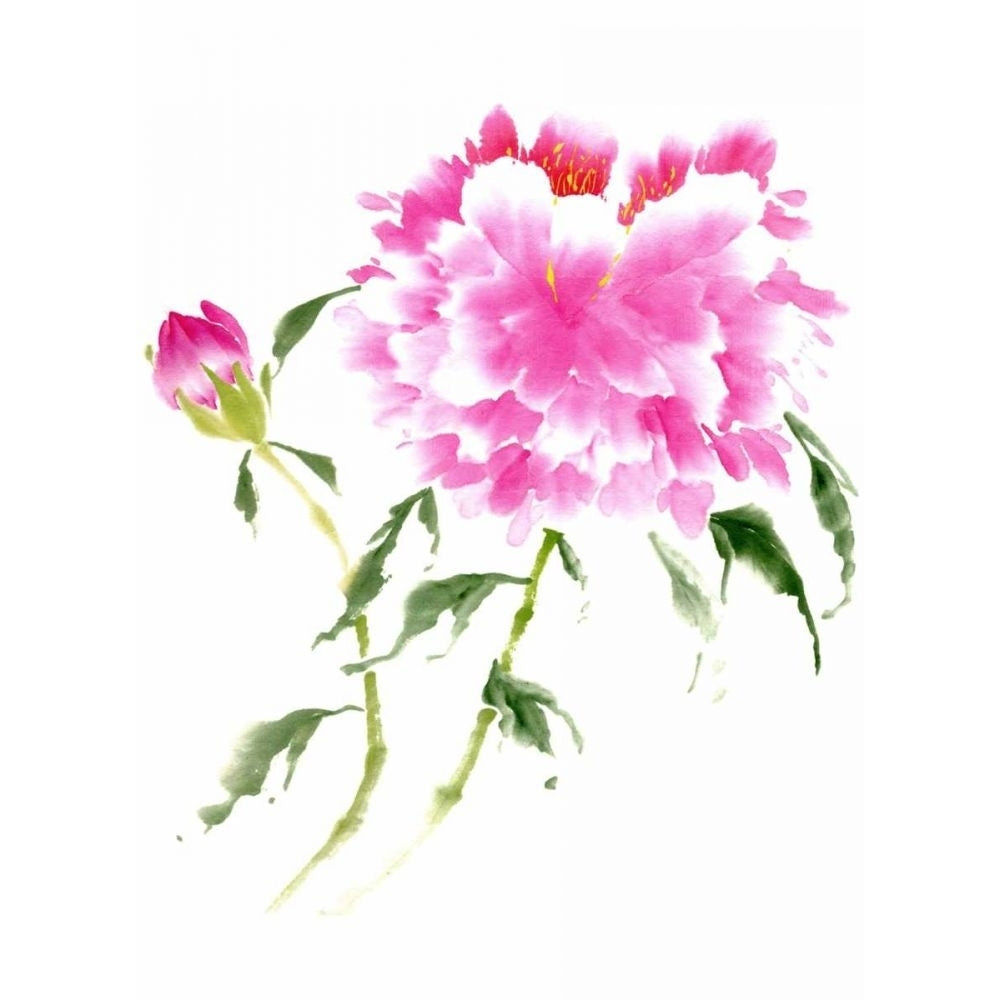 Peonies in Pink II Poster Print - Nan Rae Parker-VARPDX26342D Image 1