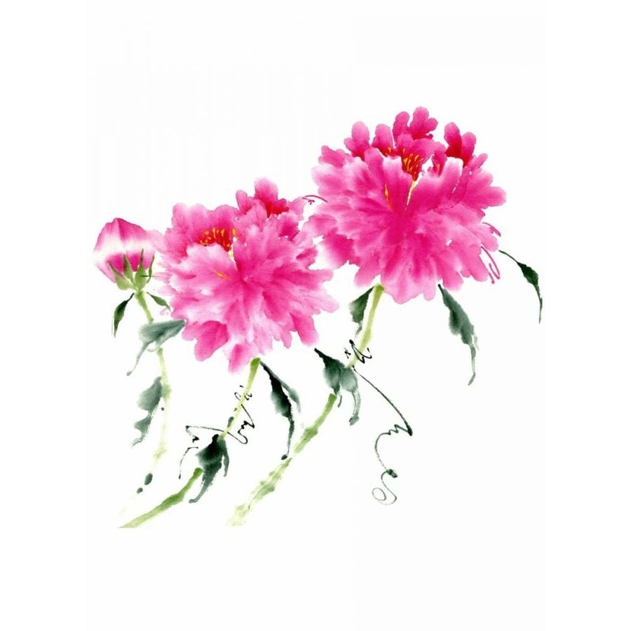 Peonies in Pink III Poster Print - Nan Rae Parker-VARPDX26343D Image 1