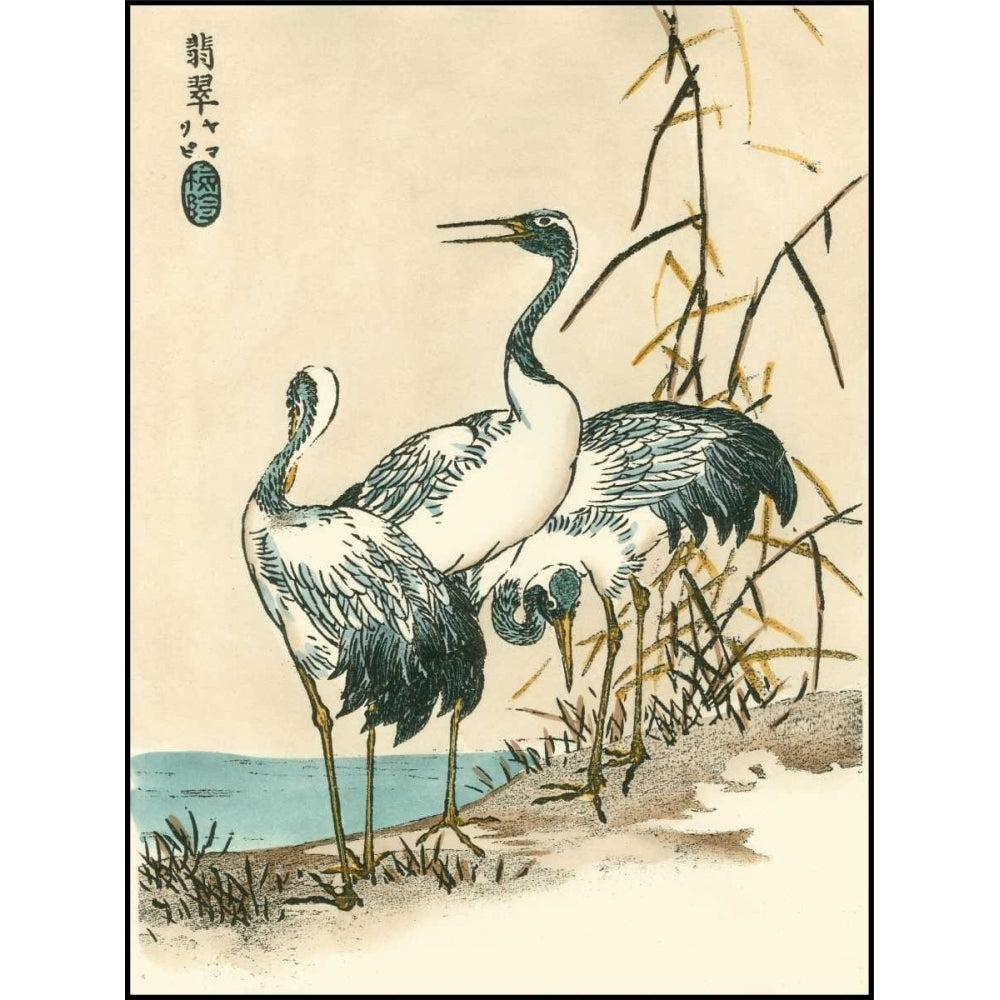 Oriental Crane II Poster Print - Studio Vision-VARPDX26404D Image 1