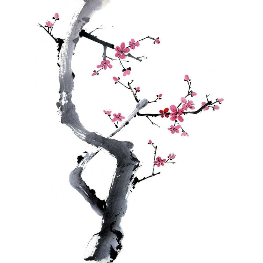 Plum Blossom Branch I Poster Print - Nan Rae Parker-VARPDX26495D Image 1