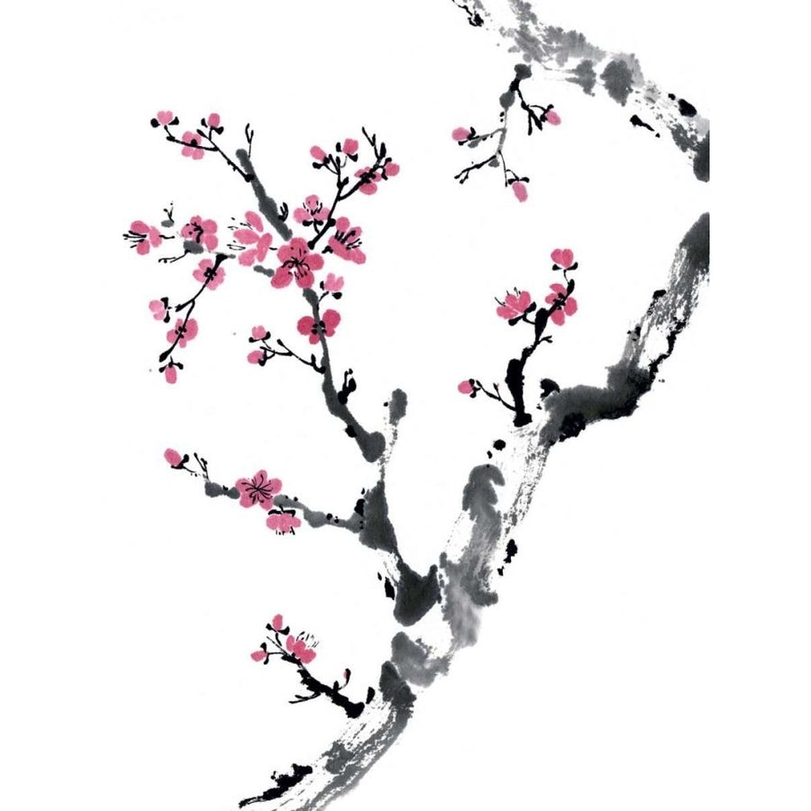 Plum Blossom Branch II Poster Print - Nan Rae Parker-VARPDX26496D Image 1