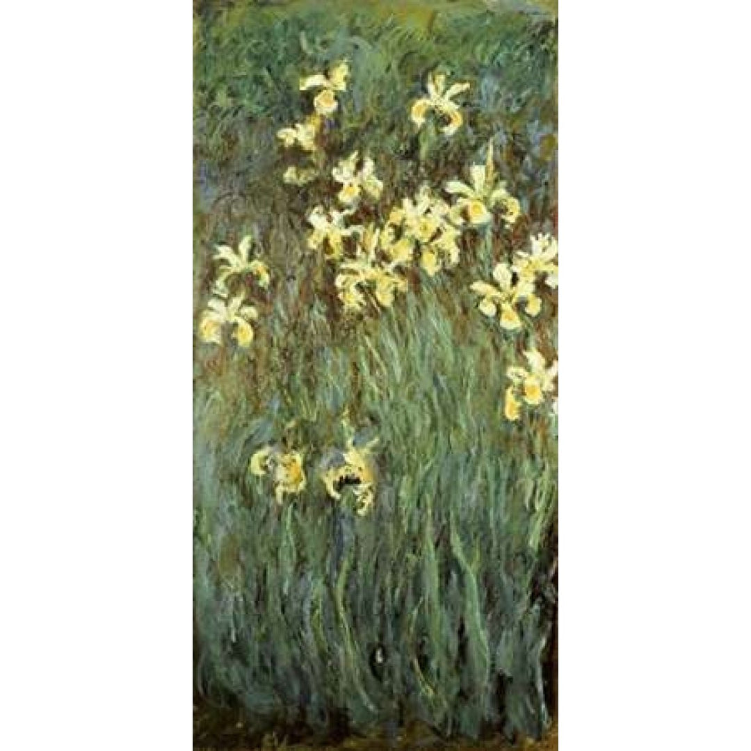 Iris jaunes Poster Print by Claude Monet-VARPDX265188 Image 1