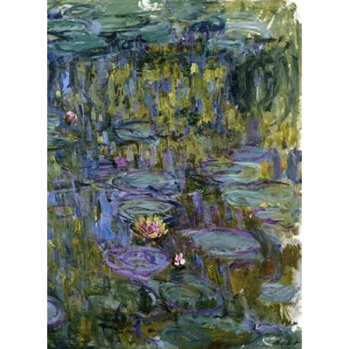 Water Lilies Poster Print by Claude Monet-VARPDX265240 Image 1