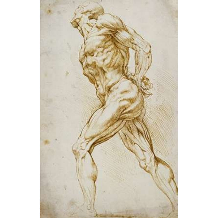 Anatomical Study: Nude Male Poster Print by Peter Paul Reubens-VARPDX265454 Image 1