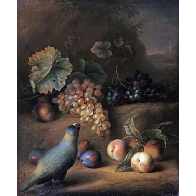 A Parrot With Grapes Peaches and Plums In a Landscape Poster Print by Tobias Stranover-VARPDX265593 Image 1