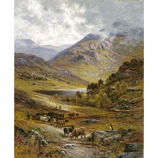 Longhorn Cattle Poster Print by Alfred Augustus Glendening-VARPDX266393 Image 1