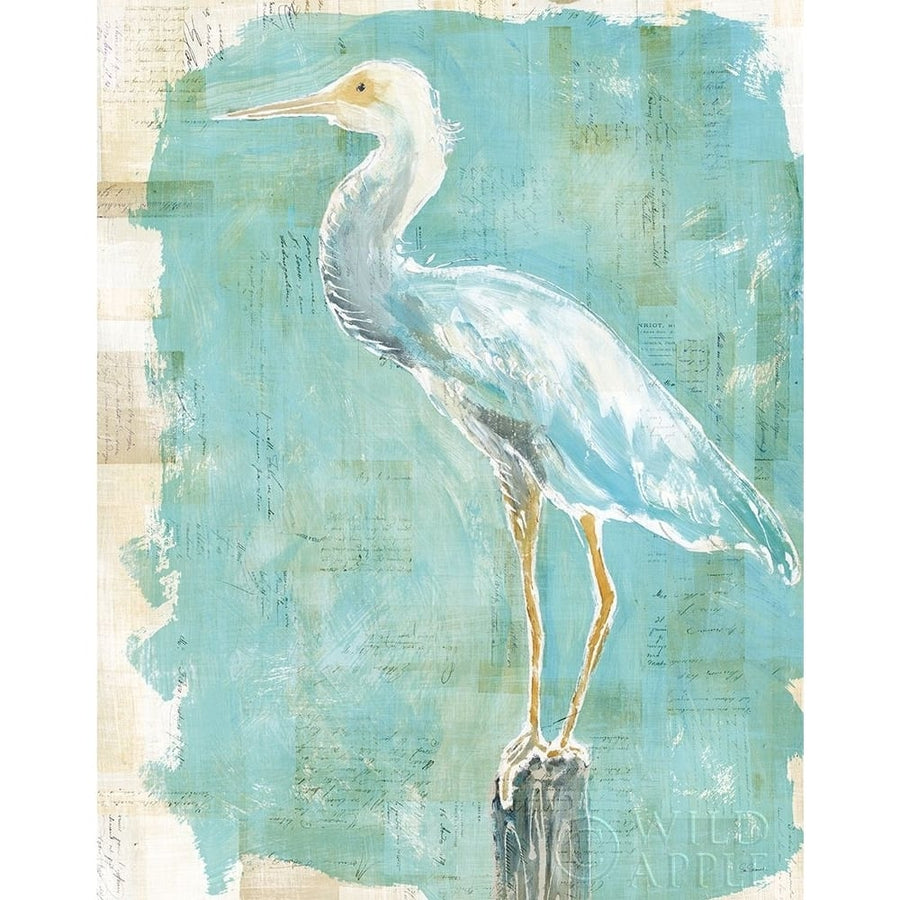 Coastal Egret II Poster Print by Sue Schlabach-VARPDX27052 Image 1