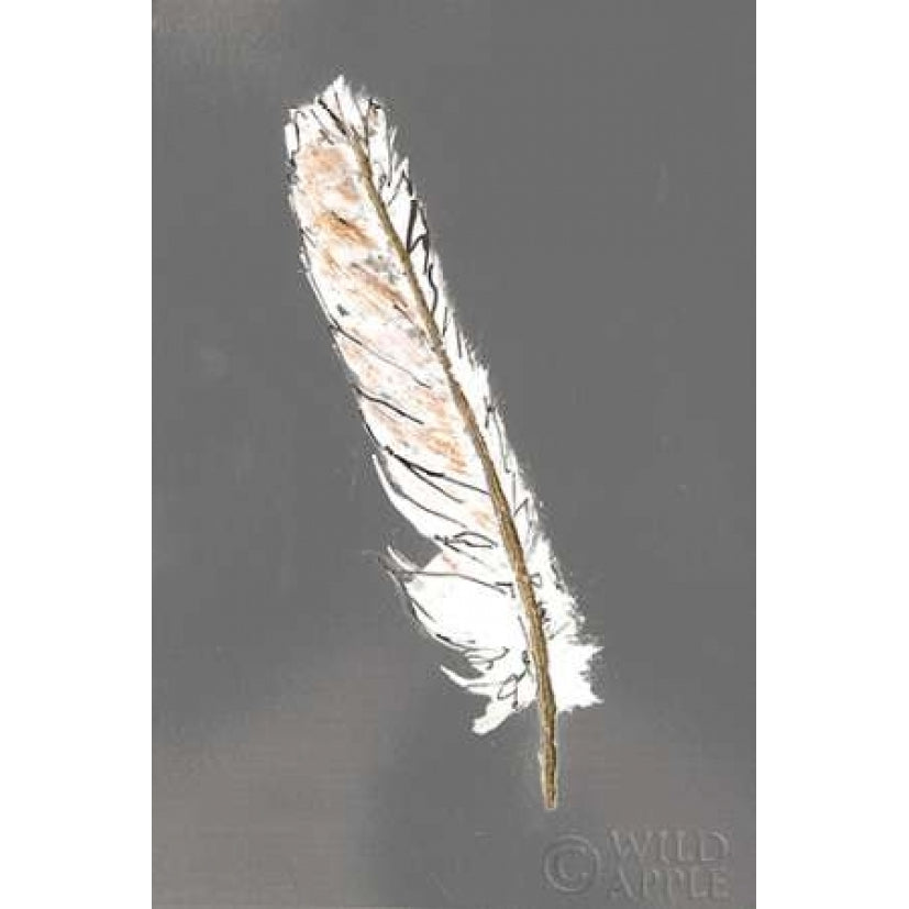 Gold Feathers II on Grey Poster Print by Chris Paschke-VARPDX27094 Image 2