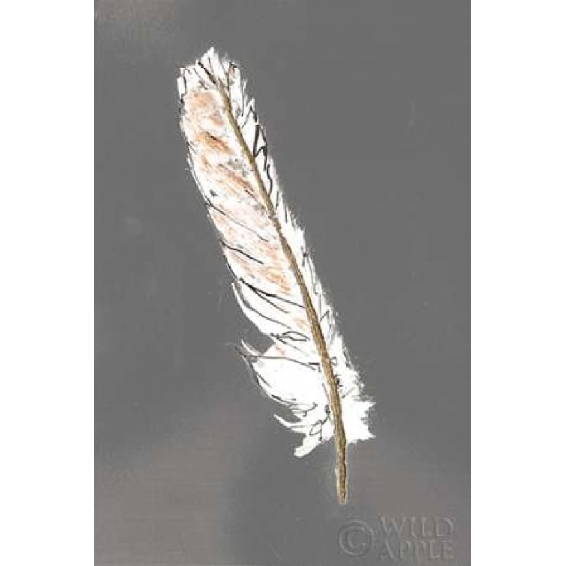 Gold Feathers II on Grey Poster Print by Chris Paschke-VARPDX27094 Image 1