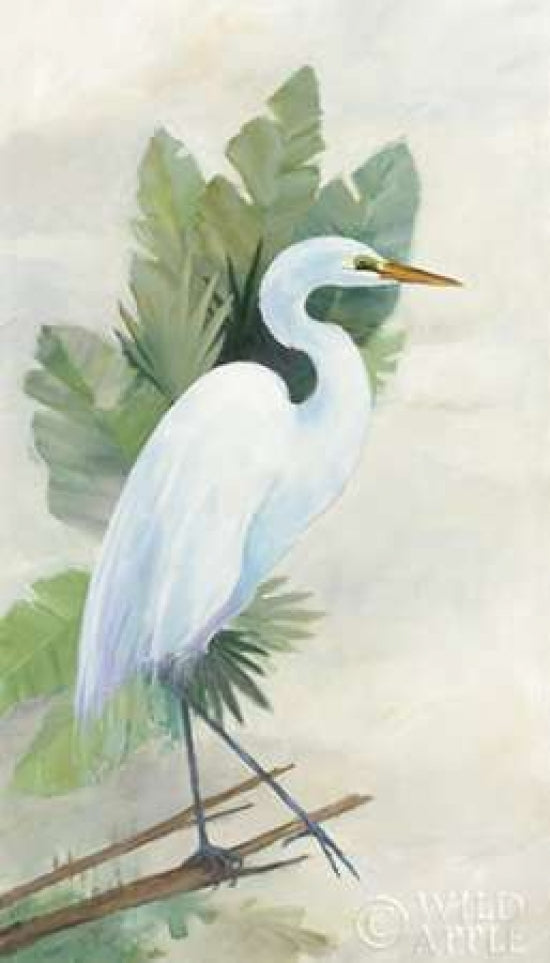 Standing Egret I Crop Poster Print by Avery Tillmon-VARPDX27116 Image 1