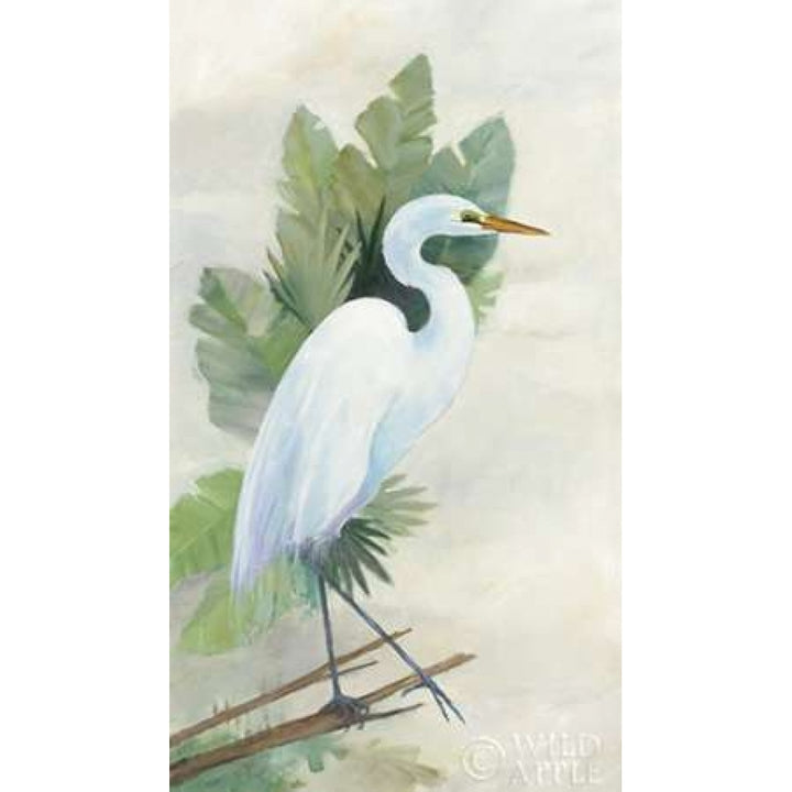 Standing Egret I Crop Poster Print by Avery Tillmon-VARPDX27116 Image 2