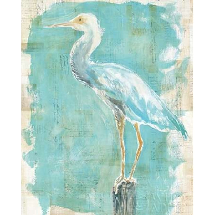 Coastal Egret II v2 Poster Print by Sue Schlabach-VARPDX27157 Image 1