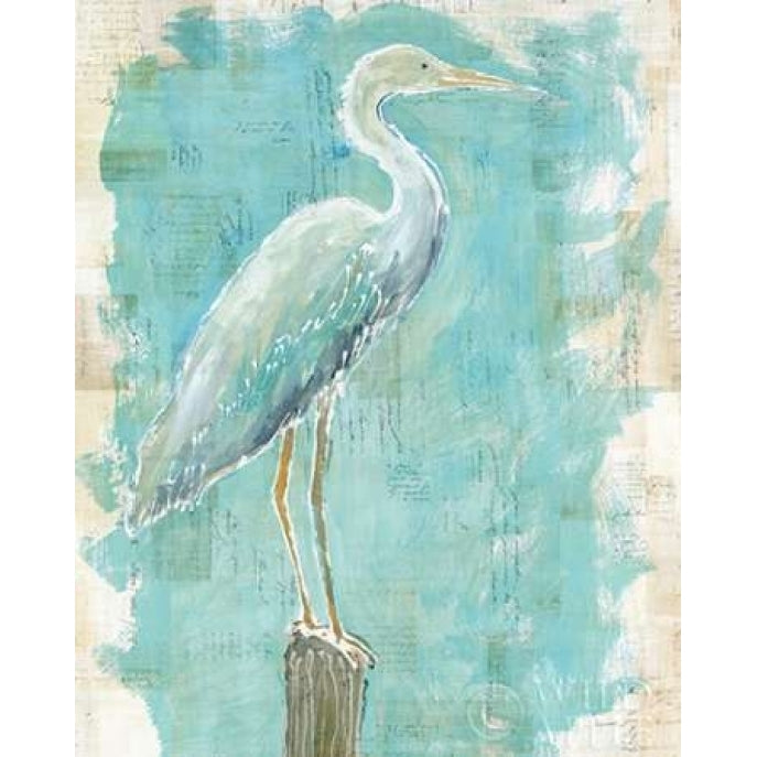 Coastal Egret I v2 Poster Print by Sue Schlabach-VARPDX27156 Image 2