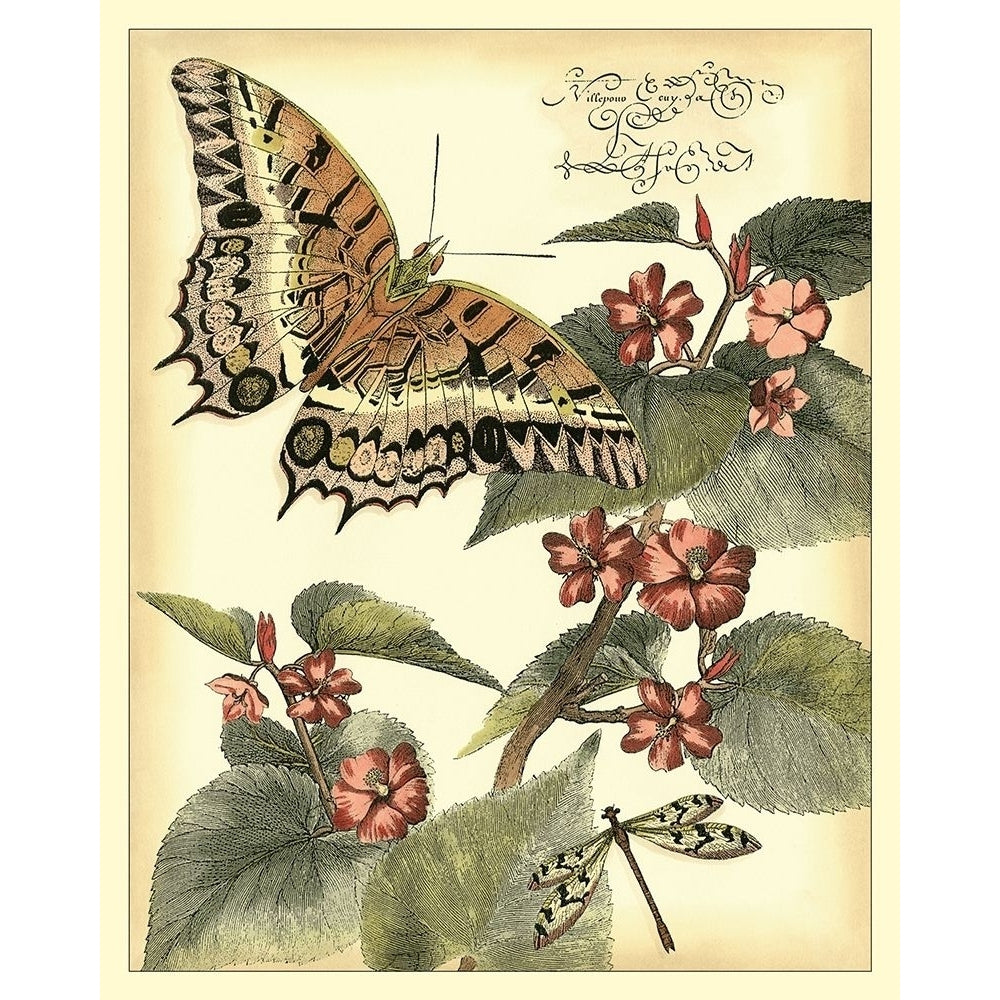 Whimsical Butterflies II Poster Print - Studio Vision-VARPDX27431Z Image 1