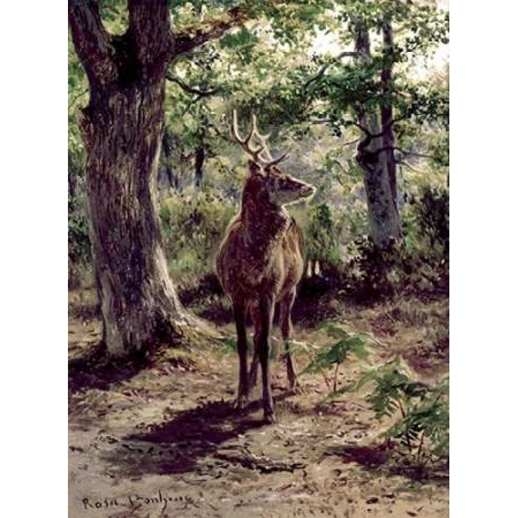 Stag On Alert In Wooded Clearing Poster Print by Rosa Bonheur-VARPDX276772 Image 2