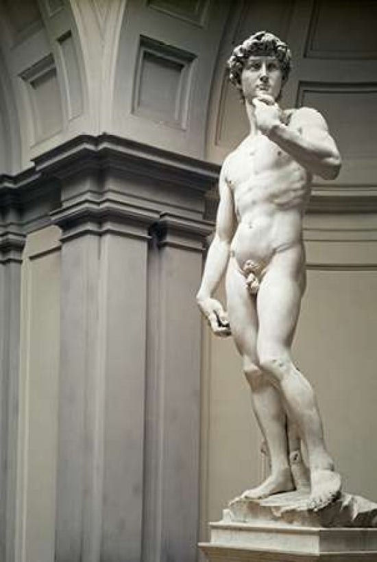 David Poster Print by Michelangelo -VARPDX276934 Image 1