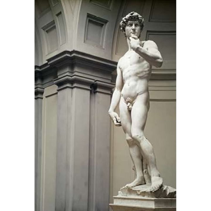 David Poster Print by Michelangelo -VARPDX276934 Image 1