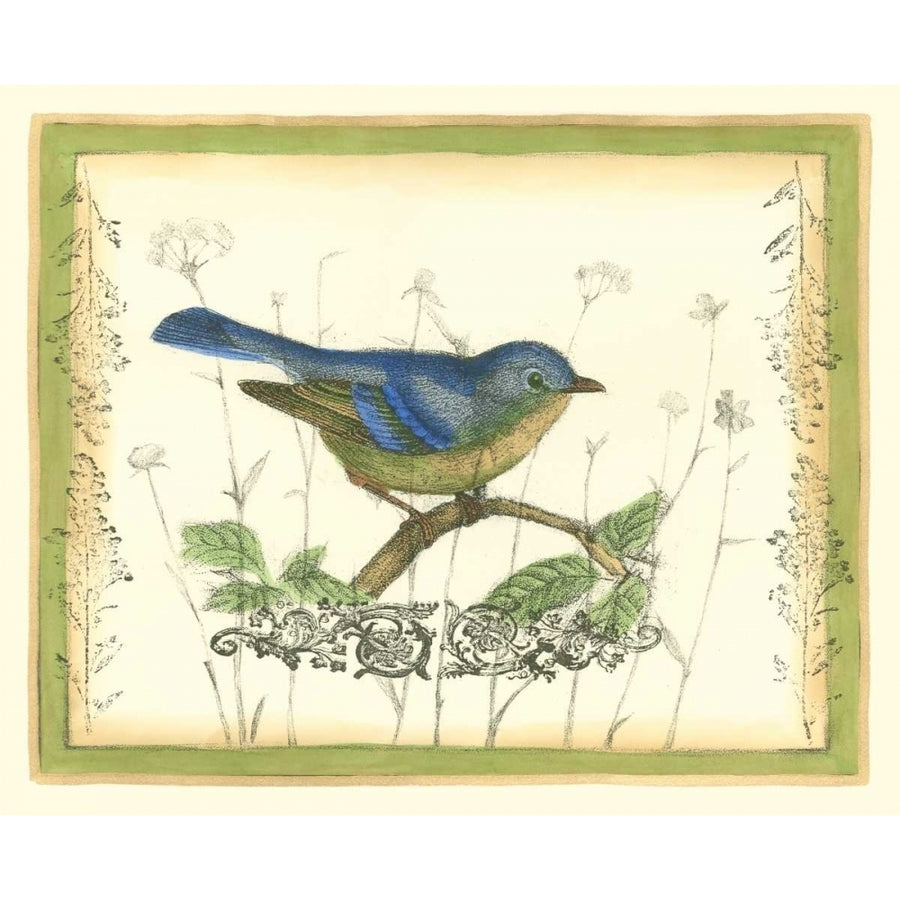 Bird and Wildflowers II Poster Print - Jennifer Goldberger-VARPDX27764FE Image 1