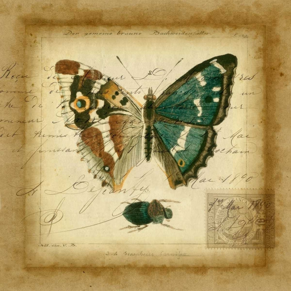 Postscript Butterfly II Poster Print - Studio Vision-VARPDX27849VME Image 1