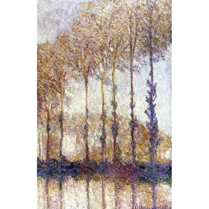 Poplars Poster Print by Claude Monet-VARPDX278694 Image 2