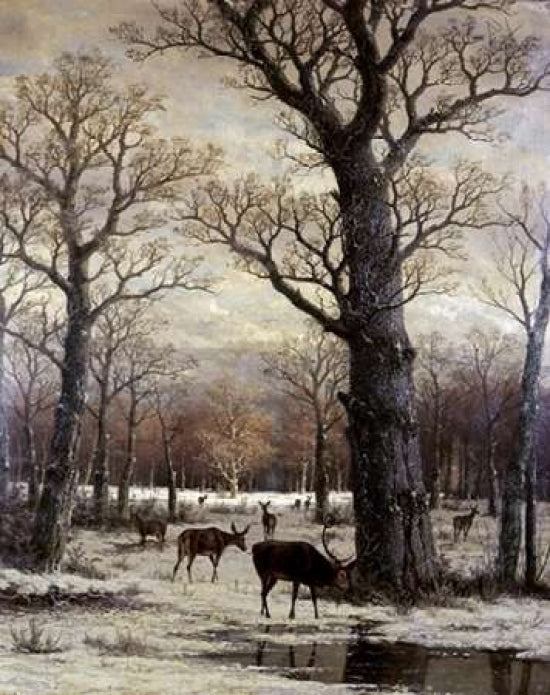 Deer Foraging Winter Poster Print by Unknown -VARPDX280796 Image 1